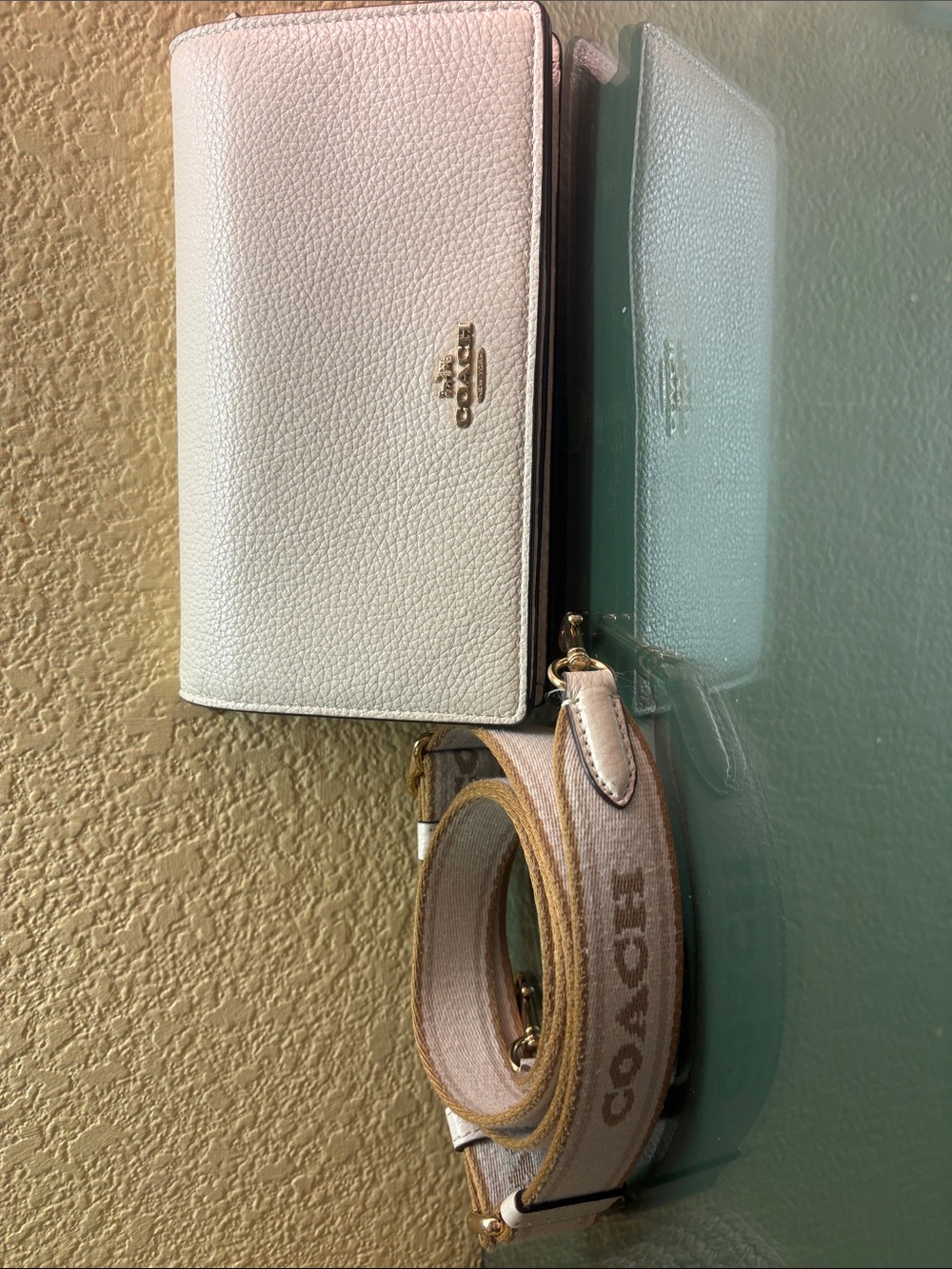 Anna Foldover Clutch Crossbody